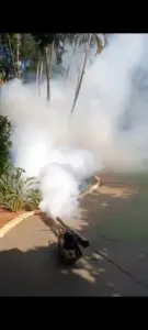 Termonebulização